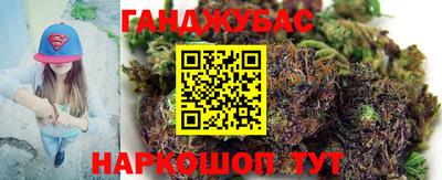 скорость Кингисепп